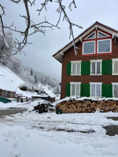 a house with green shutters in the snow at Old Farmhouse Loft near Vaduz in Sevelen