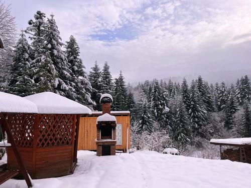 einen schneebedeckten Hof mit einem Haus mit Vogelfütterung in der Unterkunft Belvedere-Karpaty in Schidnyzja