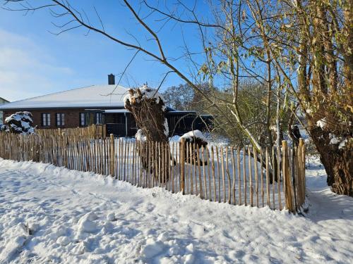 una cerca cubierta de nieve frente a una casa en Ferienwohnung - Wolkow, 