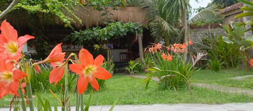 a garden with orange flowers in front of a house at Mengalung Bungalow in Kuta Lombok