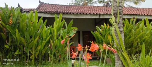 a house with a bunch of plants in front of it at Mengalung Bungalow in Kuta Lombok