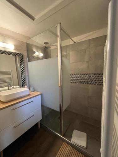 a bathroom with a shower and a sink at HYPERCENTRE - Entre charme & authenticité - Local vélo in Blois