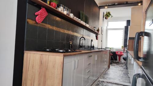 a kitchen with a sink and a counter top at Studio Piotrkowska 115 in Łódź
