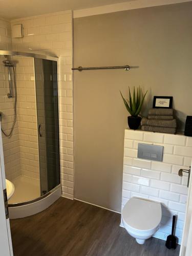 a bathroom with a toilet and a shower at Villa Moselstrand in Moselkern