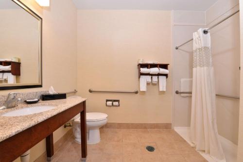 La salle de bains est pourvue de toilettes, d'un lavabo et d'une douche. dans l'établissement Wingate by Wyndham Steubenville, à Steubenville