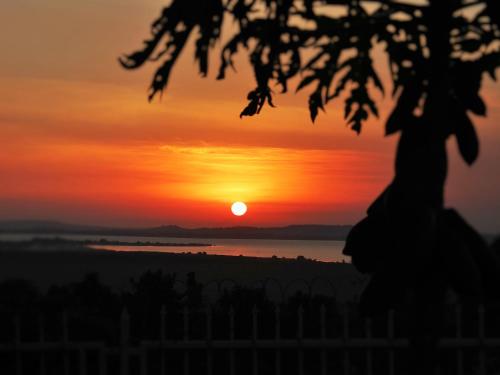 een zonsondergang boven het water met een boom op de voorgrond bij Carpe Diem Guesthouse in Entebbe