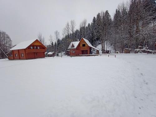 a snow covered field with two cabins and trees at Біля річки in Izki