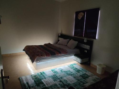 a bedroom with a bed and a window and a rug at Elkhaima motel in Giza