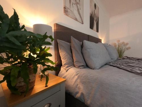 a bedroom with a bed with a plant on a night stand at Cribyn Lodge in Brecon