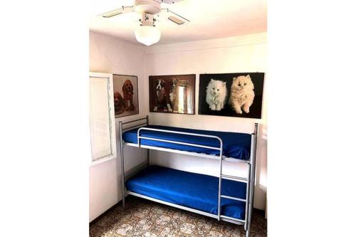 Zimmer mit blauen Etagenbetten und zwei Hunden an der Wand in der Unterkunft Giuliana in Campese