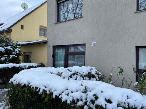 a house with snow covered bushes in front of it at Einfaches Appartement "Daniel" in Halle in Kröllwitz