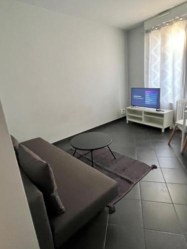 a living room with a couch and a tv at Appartement gare RER D maisons alfort Alfortville in Alfortville