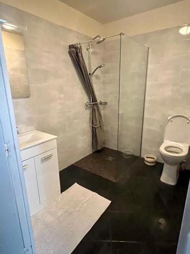 une salle de bain avec douche et toilettes dans l'établissement Appartement gare RER D maisons alfort Alfortville, à Alfortville