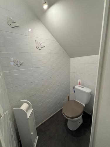 een kleine badkamer met een toilet en een wastafel bij Appartement tout confort 60 m² in Haveluy