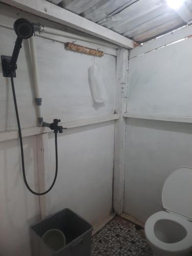 a bathroom with a toilet and a shower at Boneputeh Homestay in Taliwang