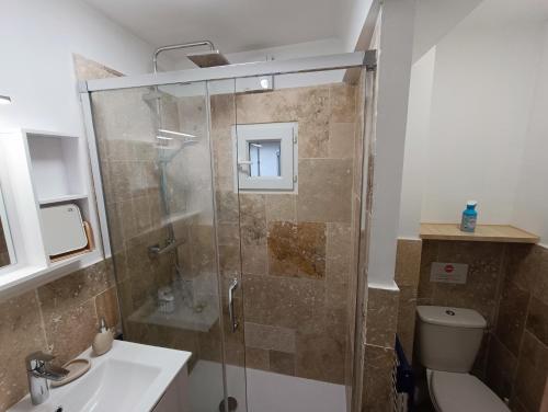 une salle de bain avec une douche avec des toilettes et un lavabo dans l'établissement T3 cosy climatisé, intra-muros Avignon, à Avignon