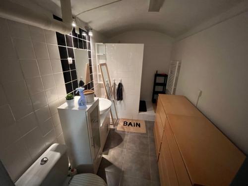 een kleine badkamer met een wastafel en een toilet bij Studio calme tout confort in Dions