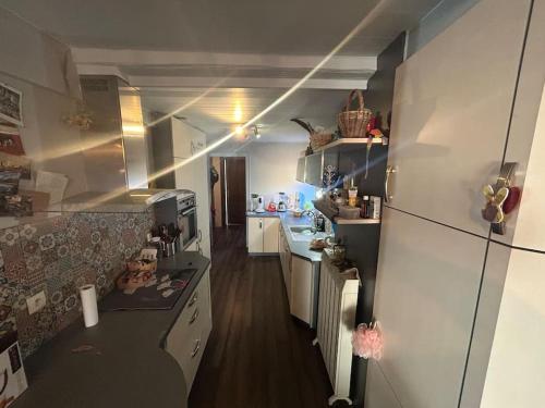 uma pequena cozinha com um frigorífico e um lavatório em Agréable maison familiale em Mitzach
