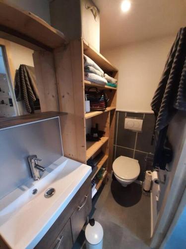 une petite salle de bain avec un lavabo et des toilettes dans l'établissement 5 min des pistes de ski Grand studio mezzanine, à Viuz-en-Sallaz