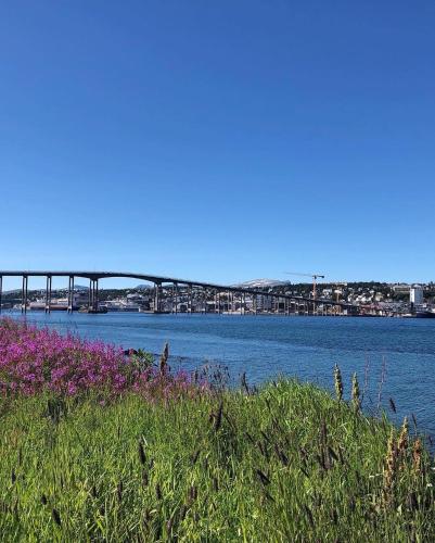 a bridge over a body of water with purple flowers at Large house with spectacular view in Tromsø