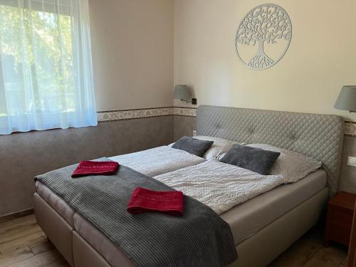 Villa Gracia Patince – Photos 2