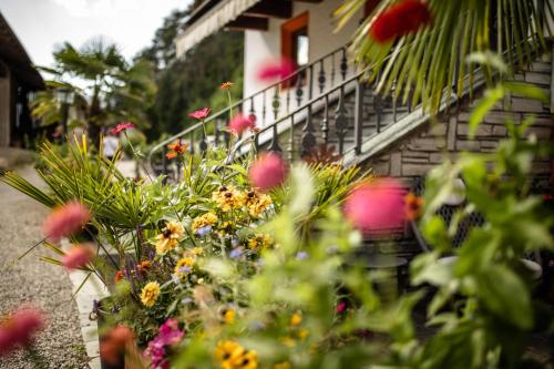 a bunch of flowers in front of a building at Residence Obermoarhof - Family Apartments with Pool & Playground in Vandoies