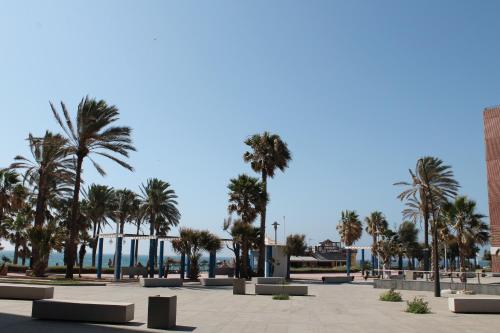 Frente al Mar