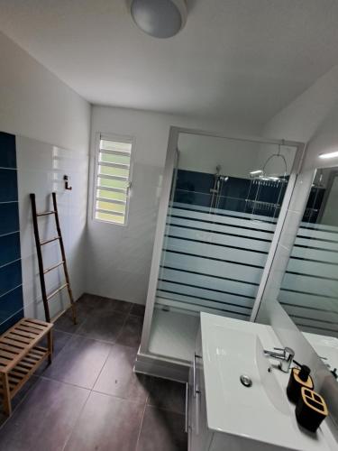La salle de bains est pourvue d'un lavabo et d'un miroir. dans l'établissement Appartement neuf 4/6 personnes, près de la plage, à Les Trois-Îlets