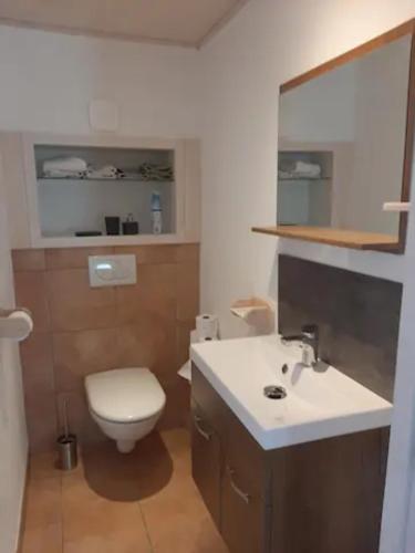 a bathroom with a white toilet and a sink at Chambre Cocooning in Viuz-en-Sallaz