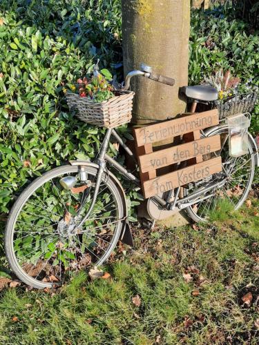 Una bicicleta con cajas en la parte trasera aparcada en el césped en Ferienwohnung van den Berg en Rees