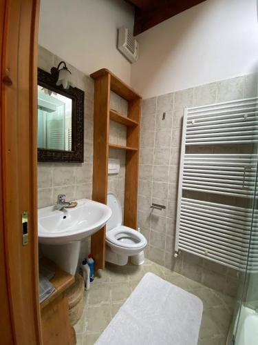 a bathroom with a sink and a toilet and a shower at Casa con vista a San Vito di Cadore in San Vito di Cadore