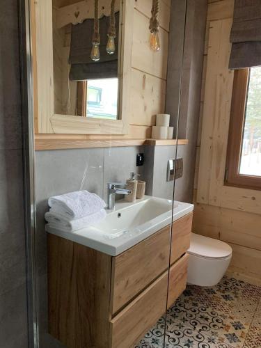 a bathroom with a sink and a toilet at Uroczy drewniany domek - Domki pod Brzegiem in Zakopane