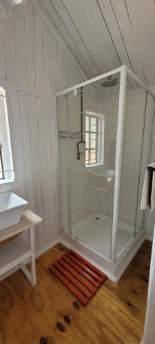 a bathroom with a shower with a glass door at Soetdorings Farmstay Karoo Chalet in Beaufort West