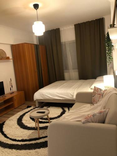 uma sala de estar com uma cama e um sofá em TIF Studio em Râmnicu Vâlcea