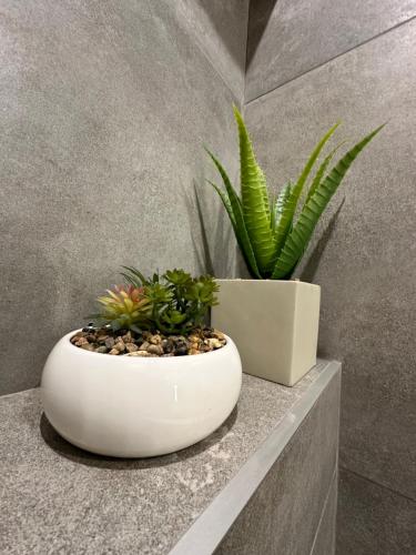 two potted plants sitting on a counter in a bathroom at Stratený kľúč in Revúca