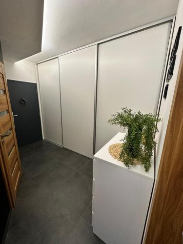 a room with white cabinets and a potted plant at Stratený kľúč in Revúca