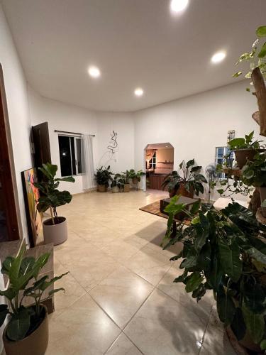 Casa de Aliにあるシーティングエリア