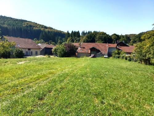 a field of green grass with houses in the background at GÎTE LE GELEINFÊTE II VOSGES à proximité de GERARDMER in Herpelmont