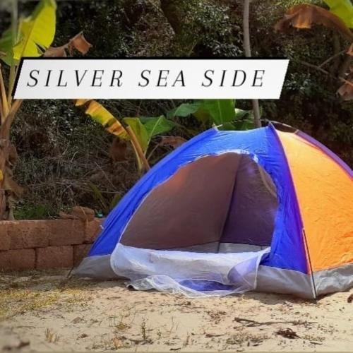 Silver sea side – Photos 5