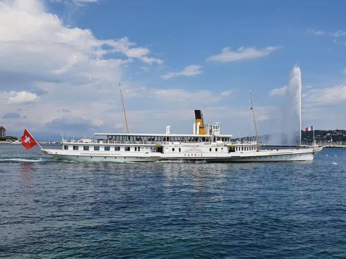a white boat on the water with a fountain at L'Escale du Léman in Publier