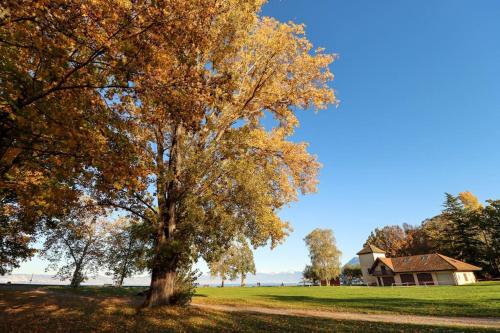 a tree in a field with a house in the background at L'Escale du Léman in Publier