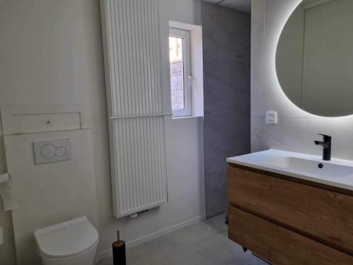 een badkamer met een wastafel, een toilet en een spiegel bij Shiba aan zee in Middelkerke
