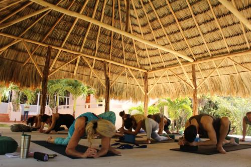 a group of people doing yoga under a straw umbrella at The Crimson Orchid Inn at Orchid Bay in Corozal