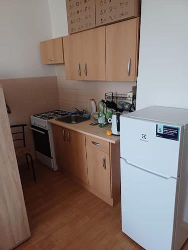 a kitchen with a white refrigerator and a stove at Harmony home in Moravská Ostrava