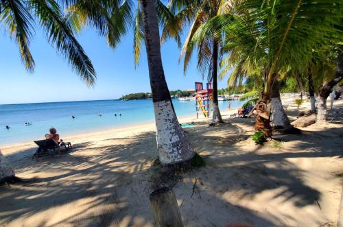 a woman sitting on a bench on a beach with palm trees at Hotel Caribbean Inn in West End