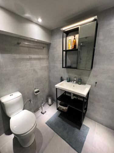 a bathroom with a white toilet and a sink at Celeste Loft in Tríkala