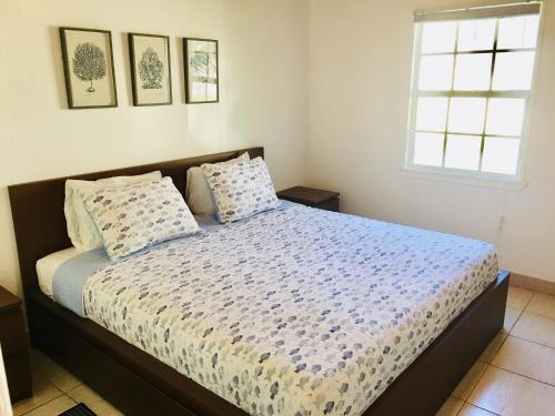 1 dormitorio con cama con edredón y almohadas en Bimini Seaside Villas - Green Cottage with Bay/Marina View en Alice Town