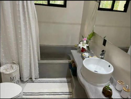een badkamer met een wastafel, een toilet en een bad bij Keiki House in Akumal