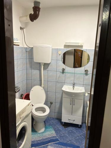 a bathroom with a toilet and a sink and a mirror at Apartman/Stan na dan Teslić in Teslić