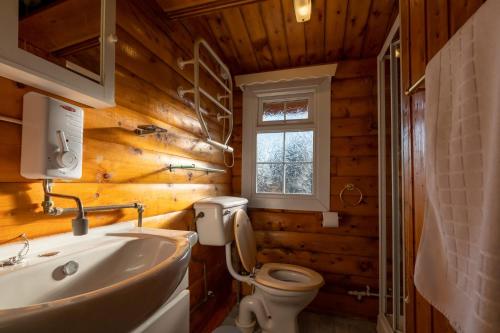 baño con paredes de madera, aseo y lavamanos en Cosy Log Cabin Snowdonia Eryri en Trawsfynydd